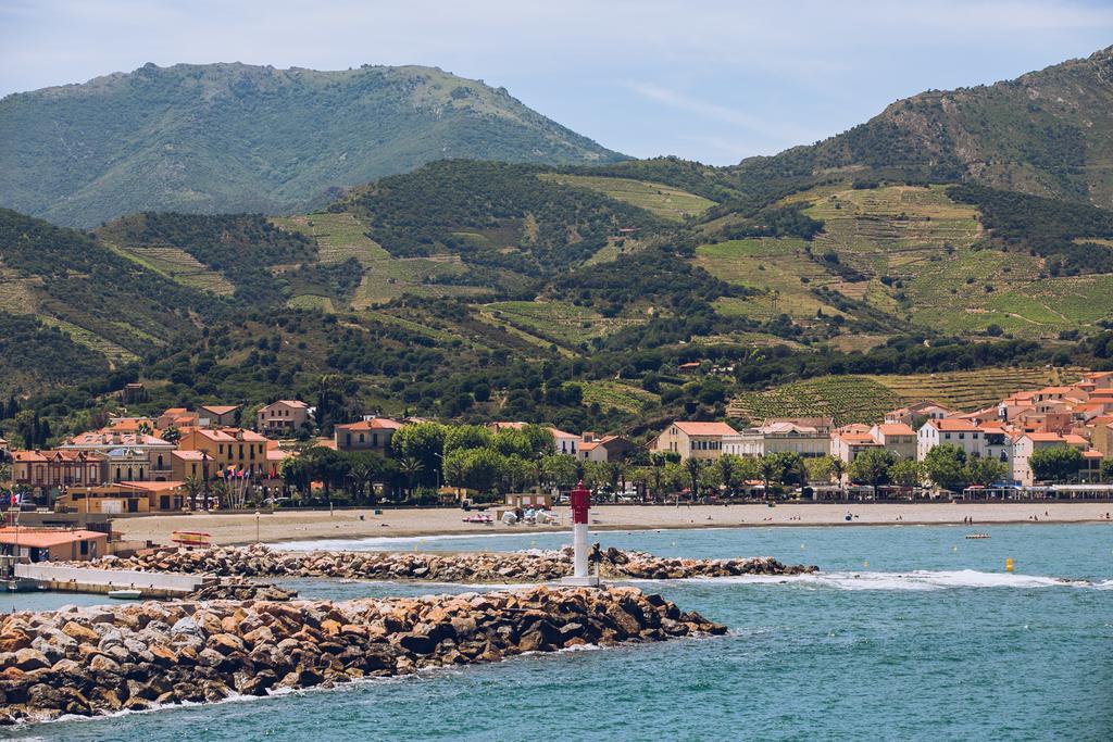 Regina'S Banyuls - Spatious Apartment Next To The Beach מראה חיצוני תמונה